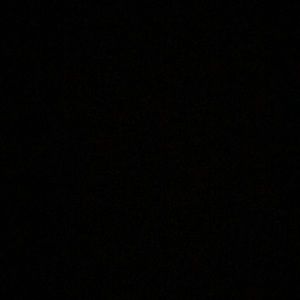 Meet your Posher, Arlin